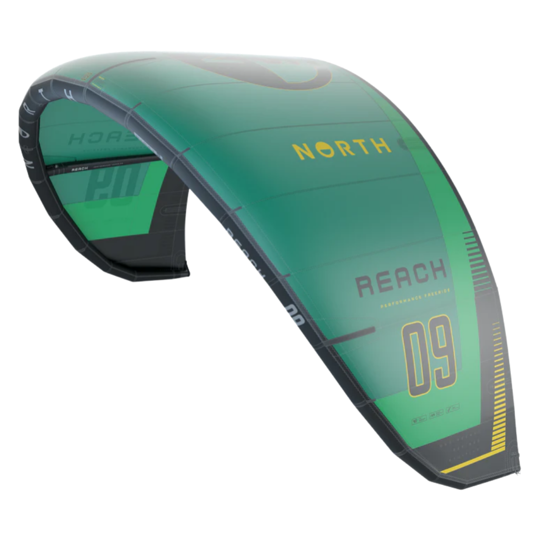 REACH-2025